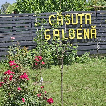Casuta Galbena Villa Eforie Nord Dış mekan fotoğraf