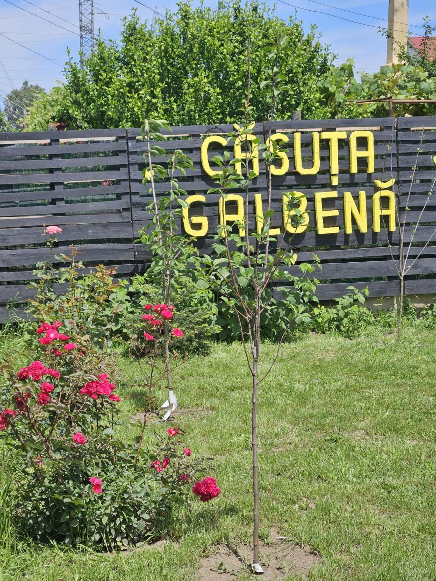 Casuta Galbena Villa Eforie Nord Dış mekan fotoğraf